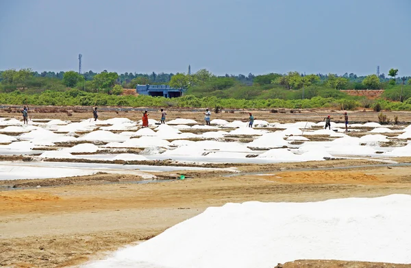 Llanuras salinas tamil nadu india — Foto de Stock