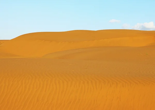 Thor deserto dunas de areia índia — Fotografia de Stock