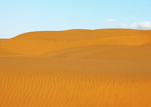 Dune di sabbia del deserto di Thor India — Foto Stock