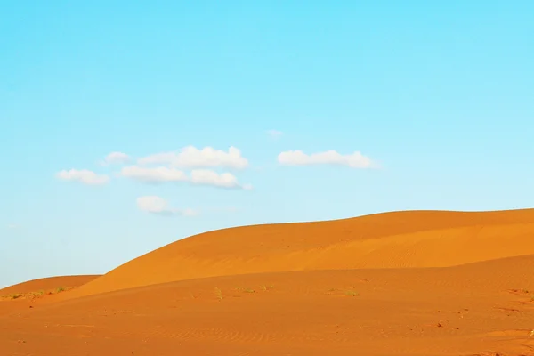 Thor deserto dunas de areia índia — Fotografia de Stock