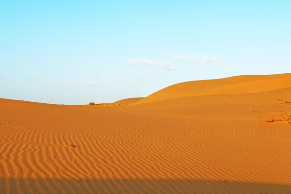 Thor Ινδία αμμόλοφους της ερήμου — Φωτογραφία Αρχείου