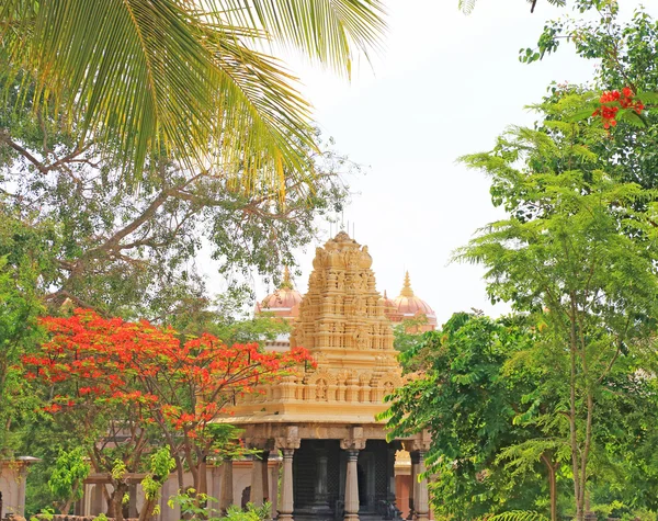 Maharaja'nın anıt ve mezar mysore karnataka Hindistan — Stok fotoğraf