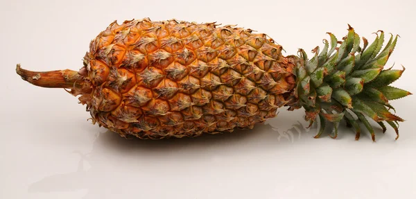 Isolerade ananas — Stockfoto