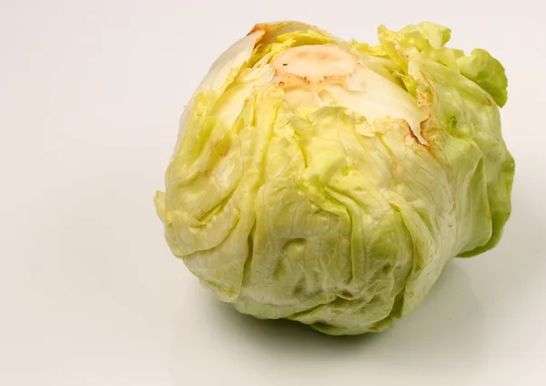 Isolated lettuce head — Stock Photo, Image