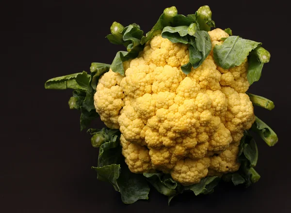 Cauliflower isolated — Stock Photo, Image