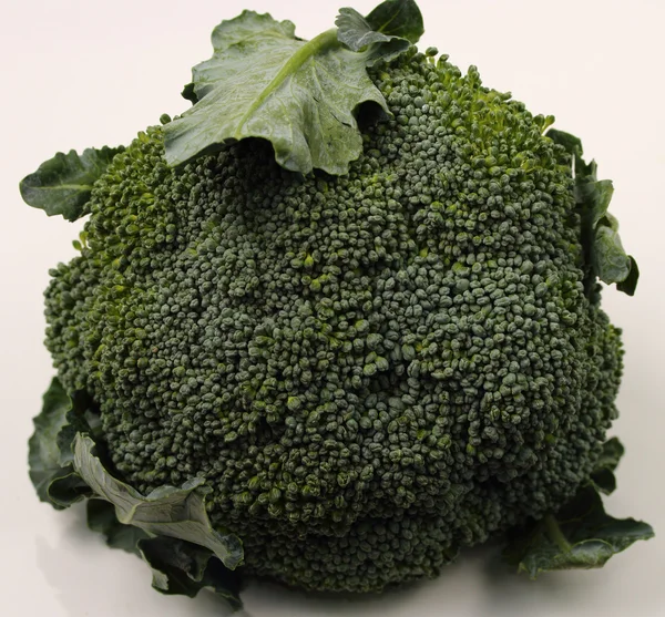 Isolated broccolli — Stock Photo, Image