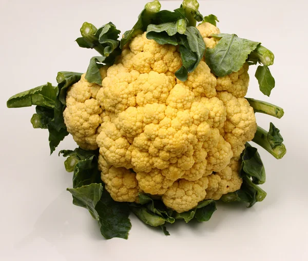 Cauliflower isolated — Stock Photo, Image