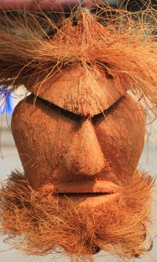 oyulmuş Hindistan cevizi