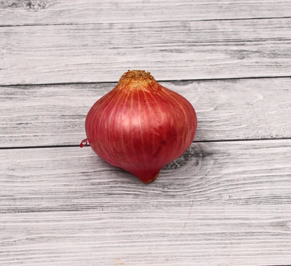 Onion — Stock Photo, Image