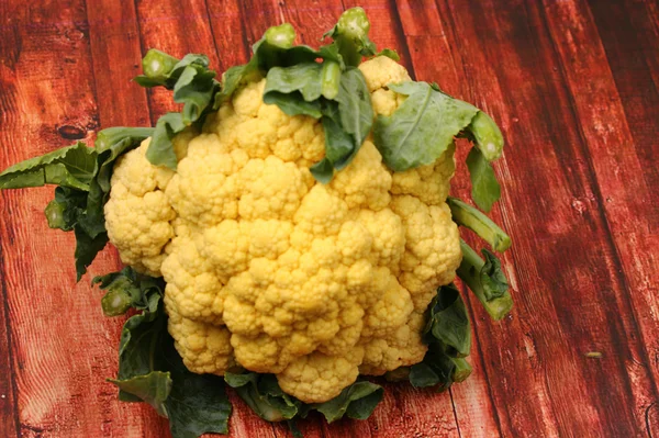 Cauliflower isolated — Stock Photo, Image