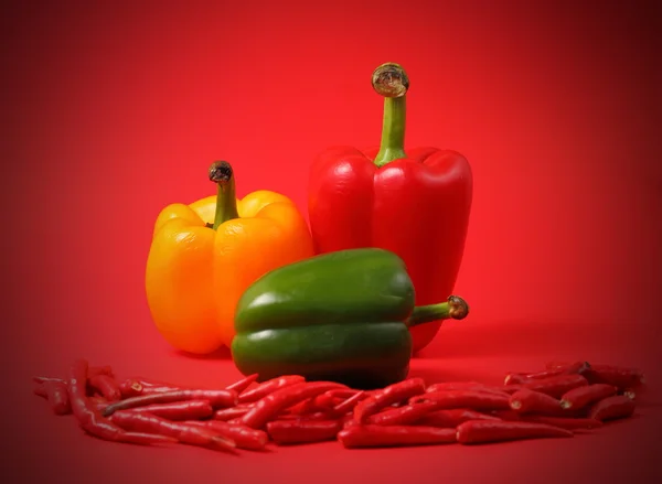 Red chillis and paprikas — Stock Photo, Image