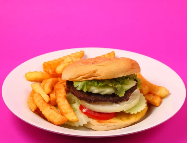 Hamburger and french fries — Stock Photo, Image