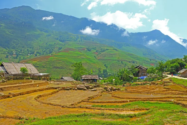 Рисовые террасы во Вьетнаме — стоковое фото