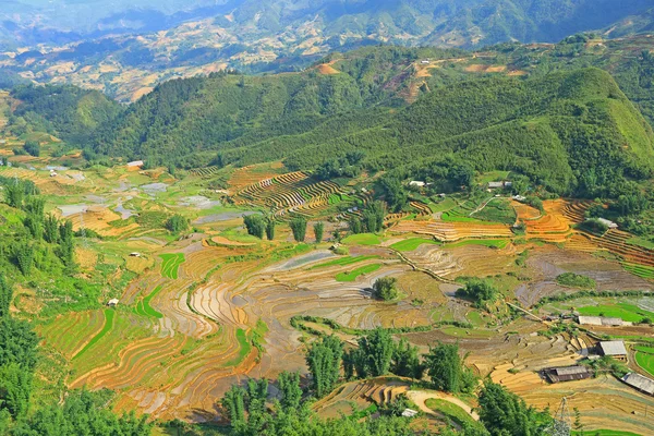 沙巴水稻梯田越南 — 图库照片