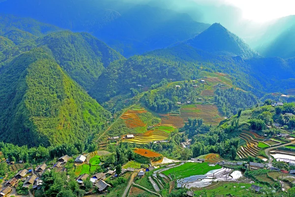 Sapa rýžové terasy vietnam — Stock fotografie