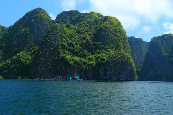 Cat ba ostrovy a skalní útvary — Stock fotografie