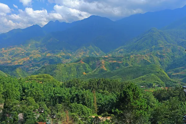 Sapa ris terrasser Vietnam — Stockfoto