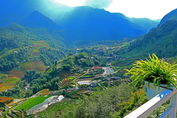 Sapa rýžové terasy vietnam — Stock fotografie