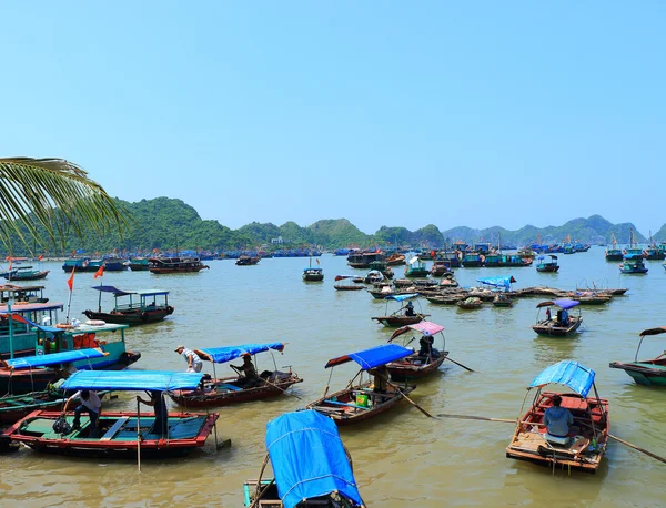 Schwimmende Fischfarmen Vietnam — Stockfoto