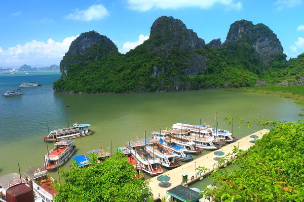 Cat ba caves — Stock Photo, Image