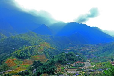 sapa pirinç terasları vietnam 