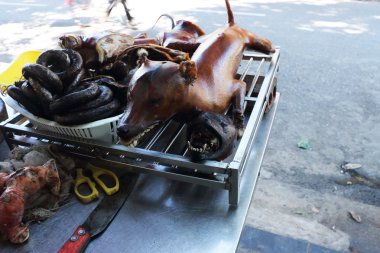 kavrulmuş vietnam köpek