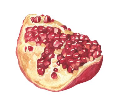Suluboya olgun pomogranate parça