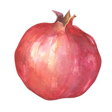 Suluboya olgun pomogranate