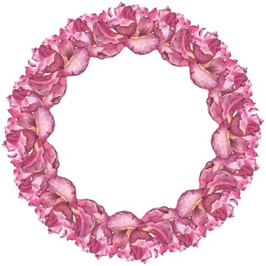 Pembe Lale çiçek ile sulu boya renkli el yapımı yuvarlak çerçeve