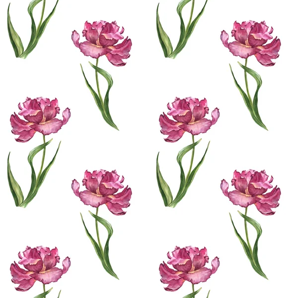 Watercolor colorful spring and summer flowers seamless pattern with pink tulips — Stock Photo, Image