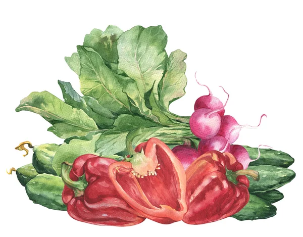 Акварель красочные свежие продукты питания с сладким красным pappers — стоковое фото