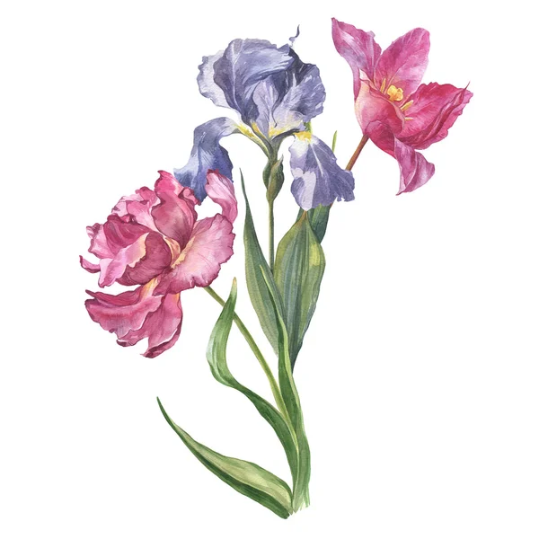 Watercolor colorful bunch of flowers with tulip and iris — Stock Photo, Image