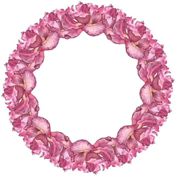 Aquarel kleurrijke handgemaakte ronde frame met roze tulp bloemen — Stockfoto