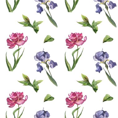 Pembe Lale ve iris ile seamless modeli suluboya renkli bahar ve yaz çiçek