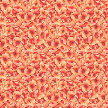 Sulu Boya renkli bahar ve yaz çiçek sorunsuz ile kırmızı primula pıtırtı