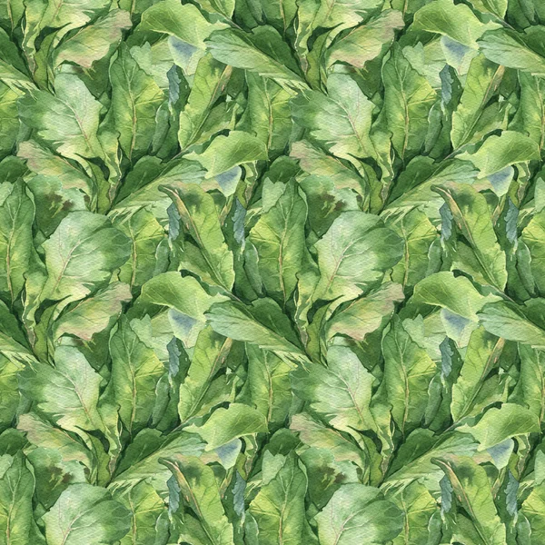 Aquarela colorido fresco verão padrão definido com potherbs folhas verdes — Fotografia de Stock