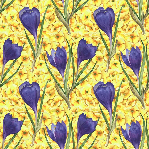 Watercolor colorful spring and summer flowers seamless pattern set with crocuses and primula — Stock Photo, Image