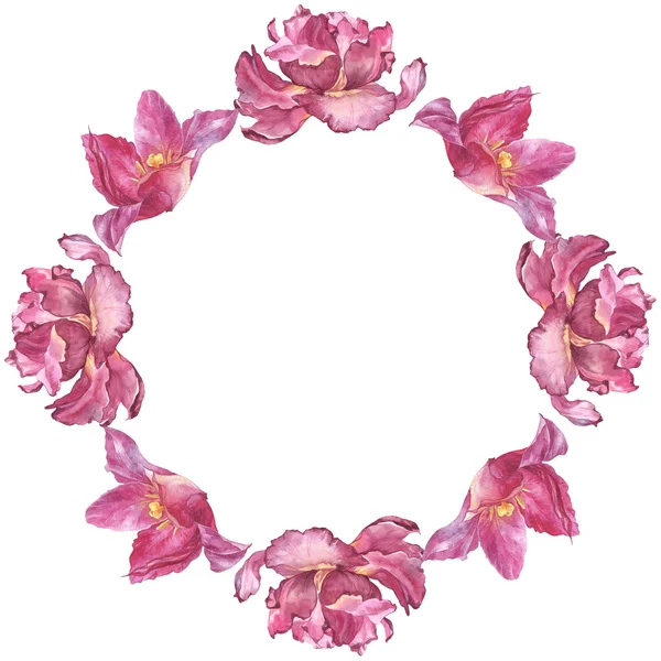 Aquarel kleurrijke handgemaakte ronde frame instellen met roze tulp bloemen — Stockfoto