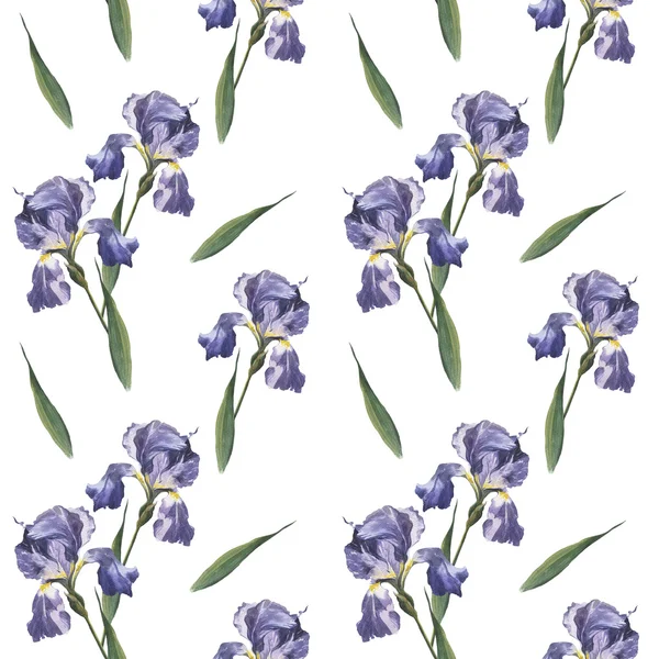 Watercolor colorful spring and summer flowers seamless pattern set with iris — Stock Photo, Image