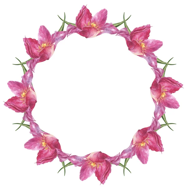 Aquarel kleurrijke handgemaakte ronde frame instellen met roze tulp bloemen — Stockfoto