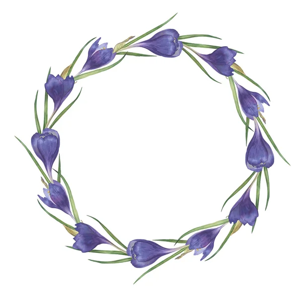 Aquarel kleurrijke handgemaakte ronde frame met crocus bloemen — Stockfoto
