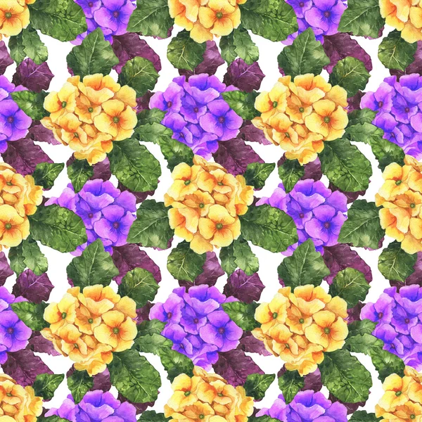 Aquarela colorido primavera e verão flores sem costura padrão com primula — Fotografia de Stock