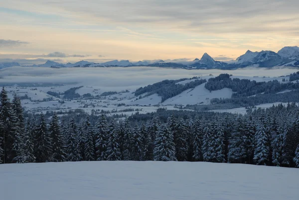 Panorama de montaña suiza en invierno Imagen De Stock