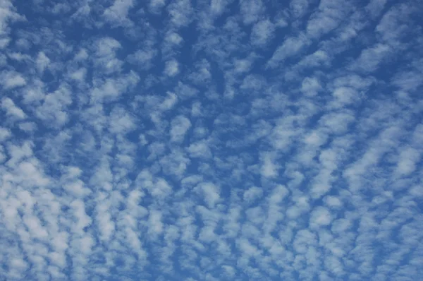 Nubes de Cirrocumulus Imagen De Stock