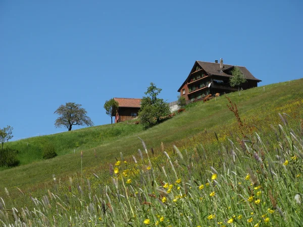 Farmhouse on Hill — Stock Photo, Image