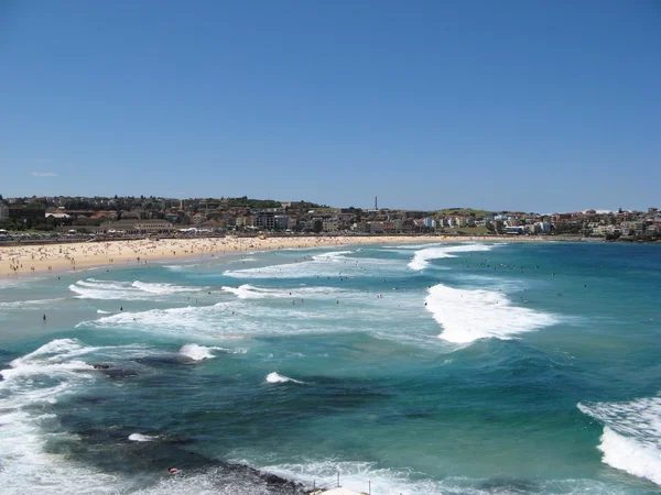 Surfaři na Bondi Beach, Sydney Royalty Free Stock Fotografie