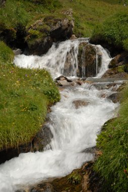 Streamlet bir Alpine mera üzerinde