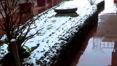 Yanlarındaki ağaçlarla kayalara düşen beyaz buz.