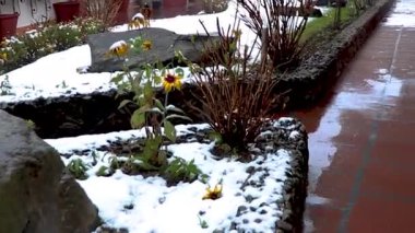 Yanlarındaki ağaçlarla kayalara düşen beyaz buz.