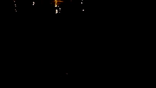 印度旁遮普邦Amritsar 2019年1月6日 夜间在水中倒影的黄金庙宇 — 图库视频影像